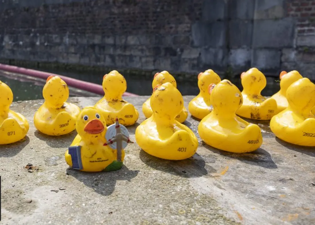 Le Ducks Day c'est ce dimanche à Douai