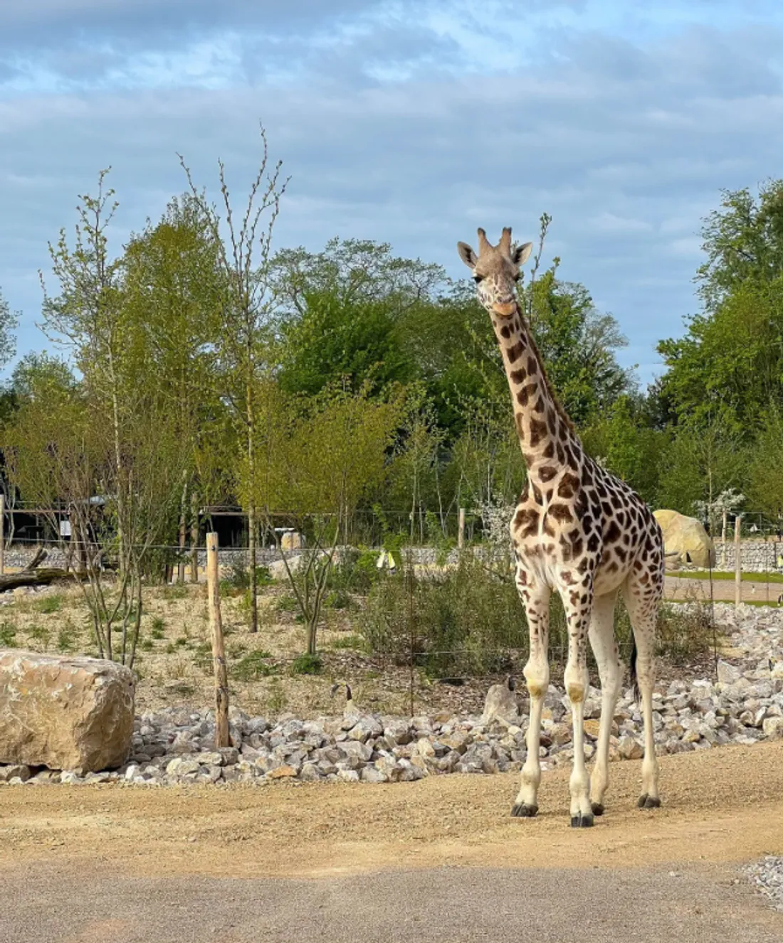 Le zoo ouvre de 8 h à 13 h ces lundi et mardi