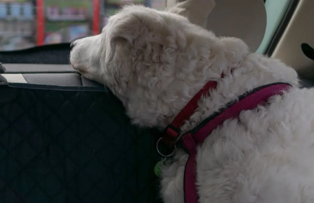 L'arrêté s'applique jusqu'au 15 octobre