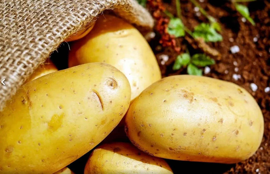 Le salon Alimen'Terre revient les 3 et 4 octobre