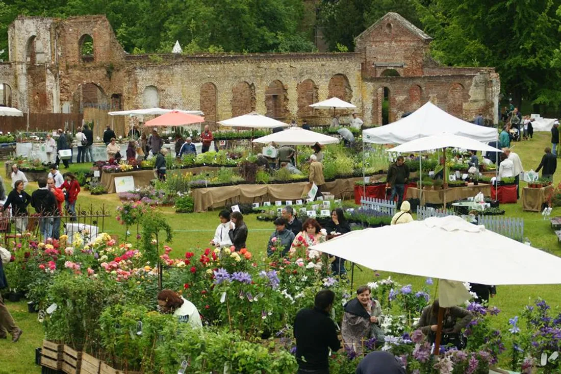 La Fête des Plantes de Doullens se tient ce week-end