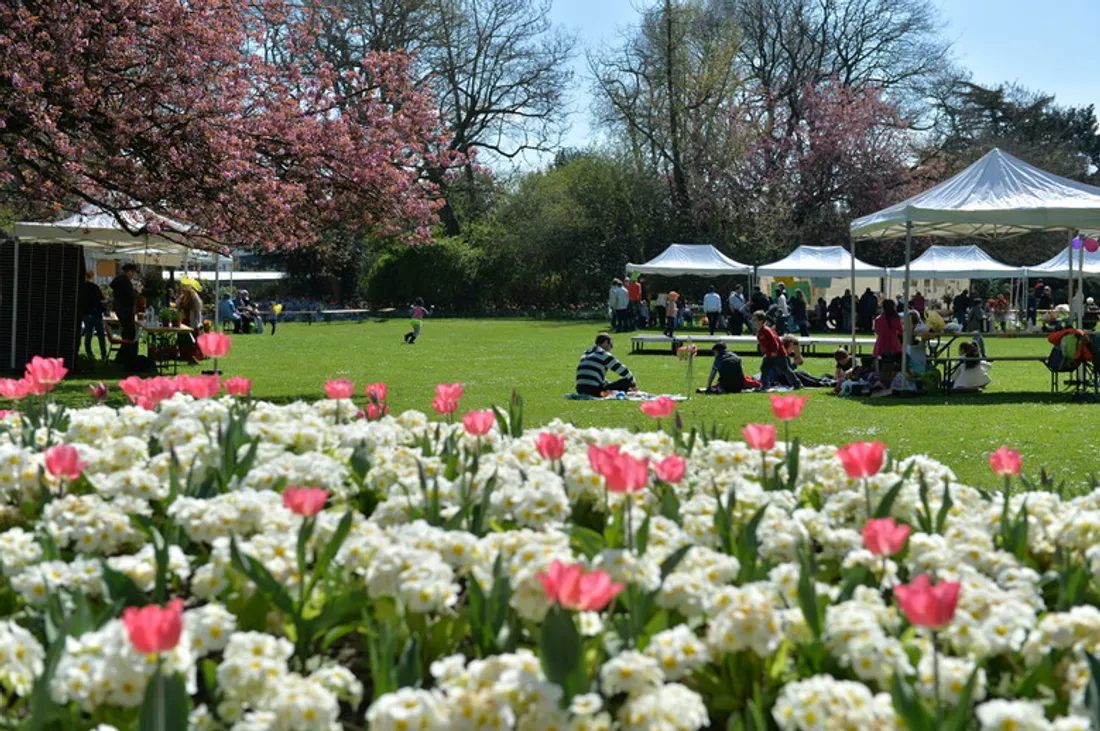 Elle a obtenu son 3ème macaron 