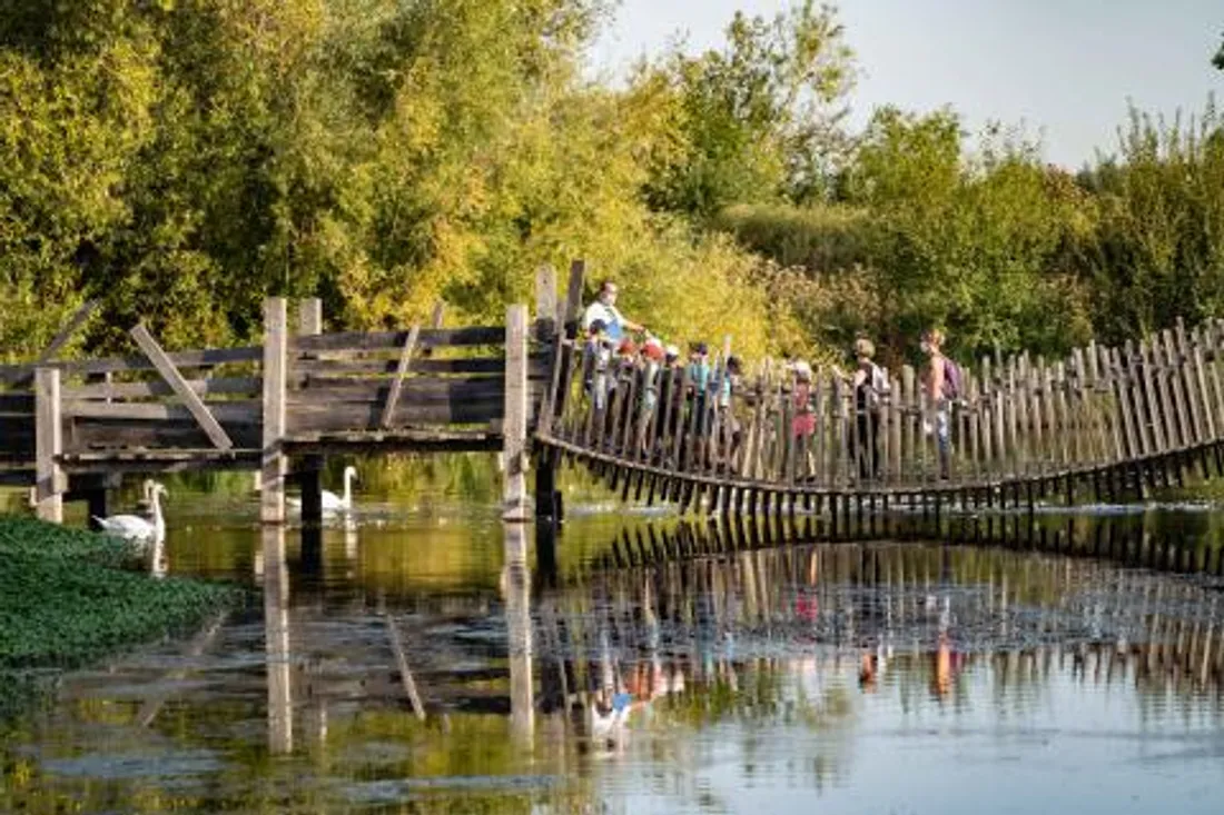 Les Près du Hem rouvrent ce dimanche