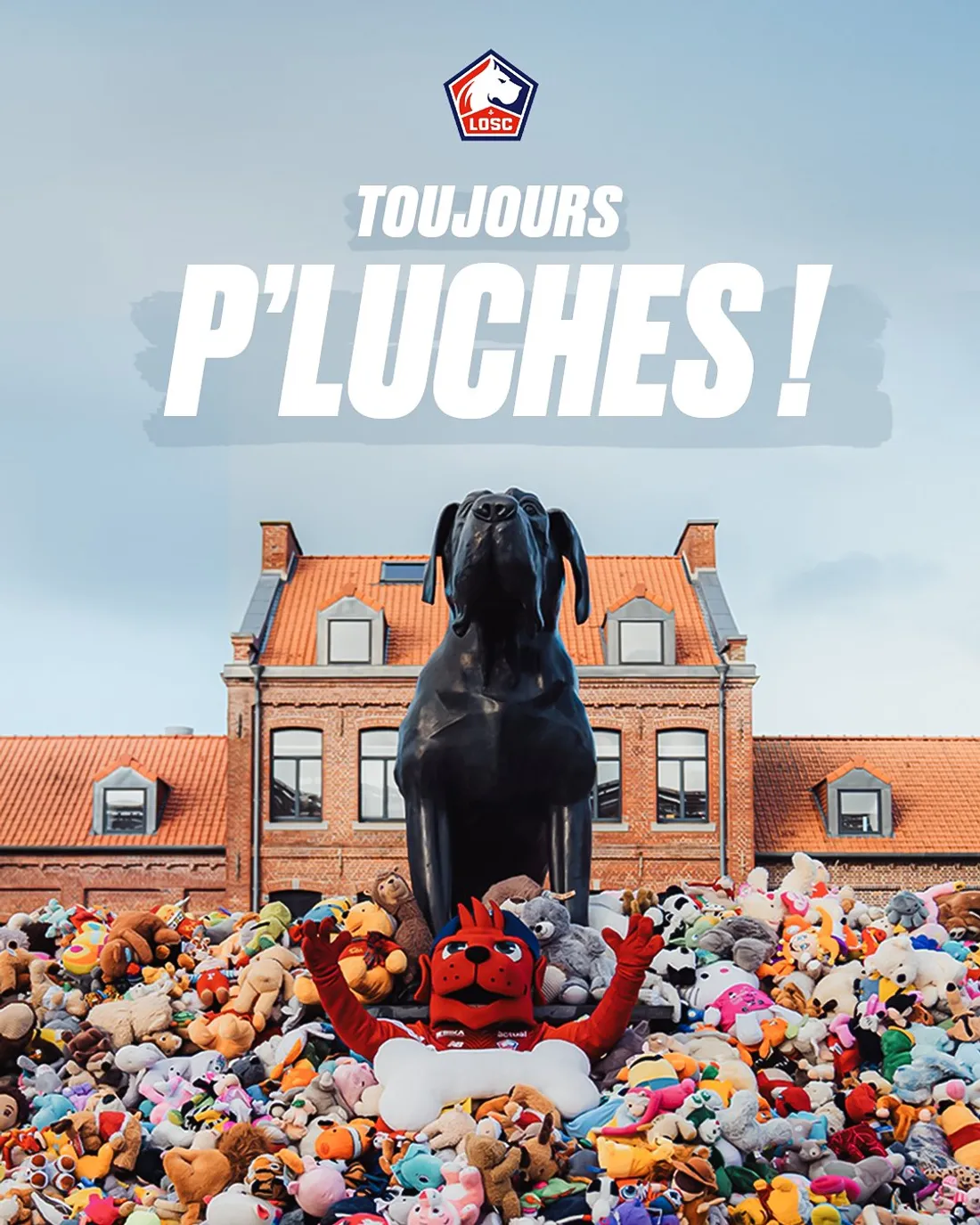 Opération solidaire avec les sections de supporters du LOSC