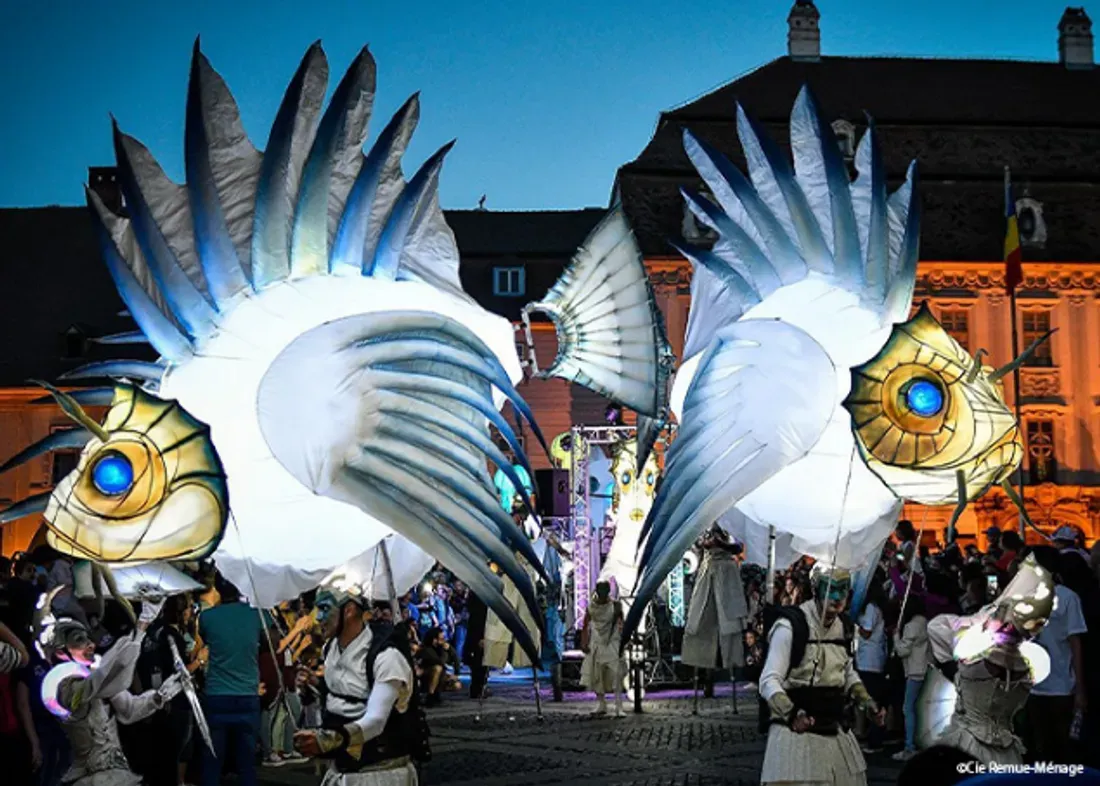 Spectacles, animations, déambulations et croisières sont prévues