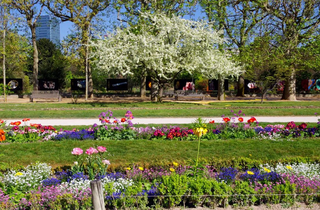 jardin