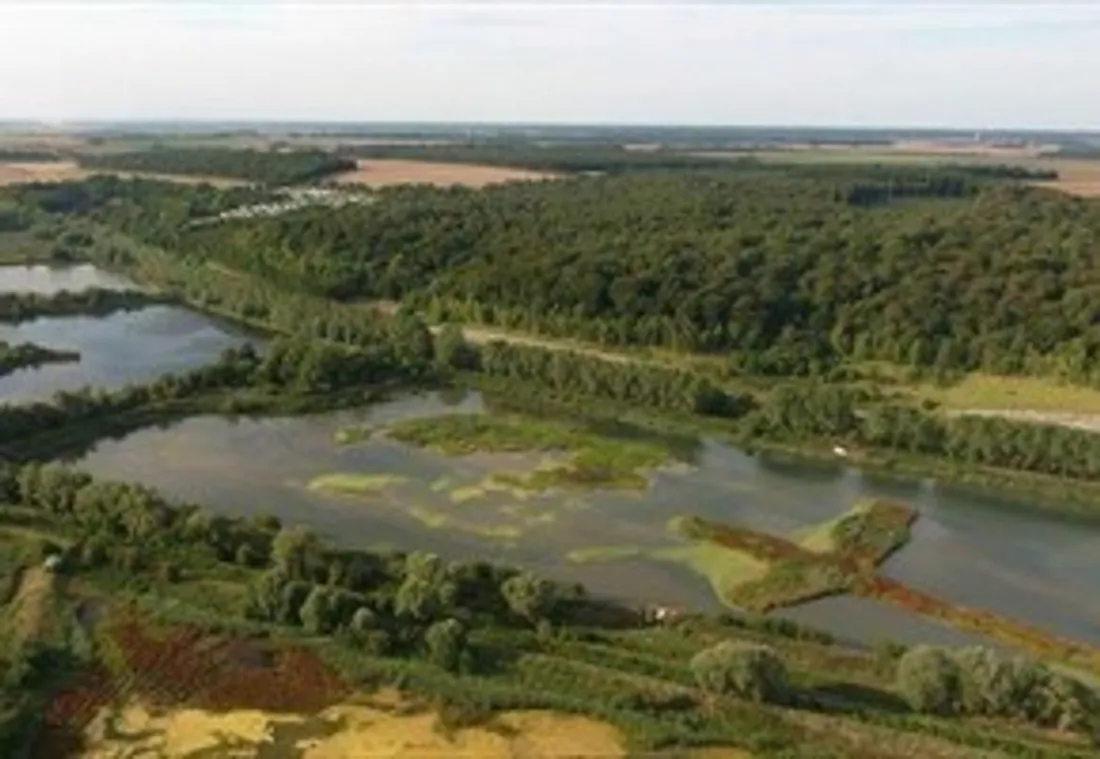 Hauts-de-France Nature 2026 : lancement de l’édition automnale 