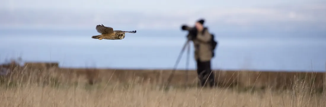 Le festival revient du 18 au 26 avril
