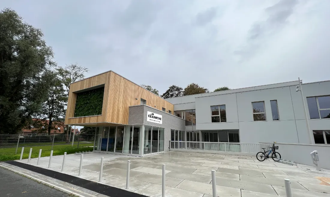 Les papillons blancs