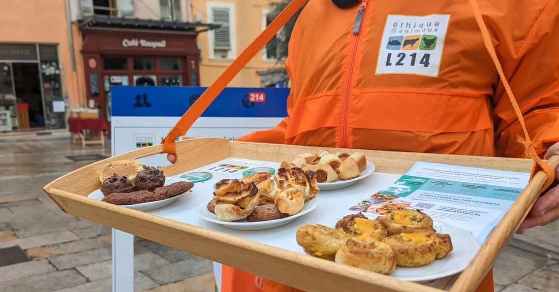 Une chasse au trésor vegan dans les rues de Lille