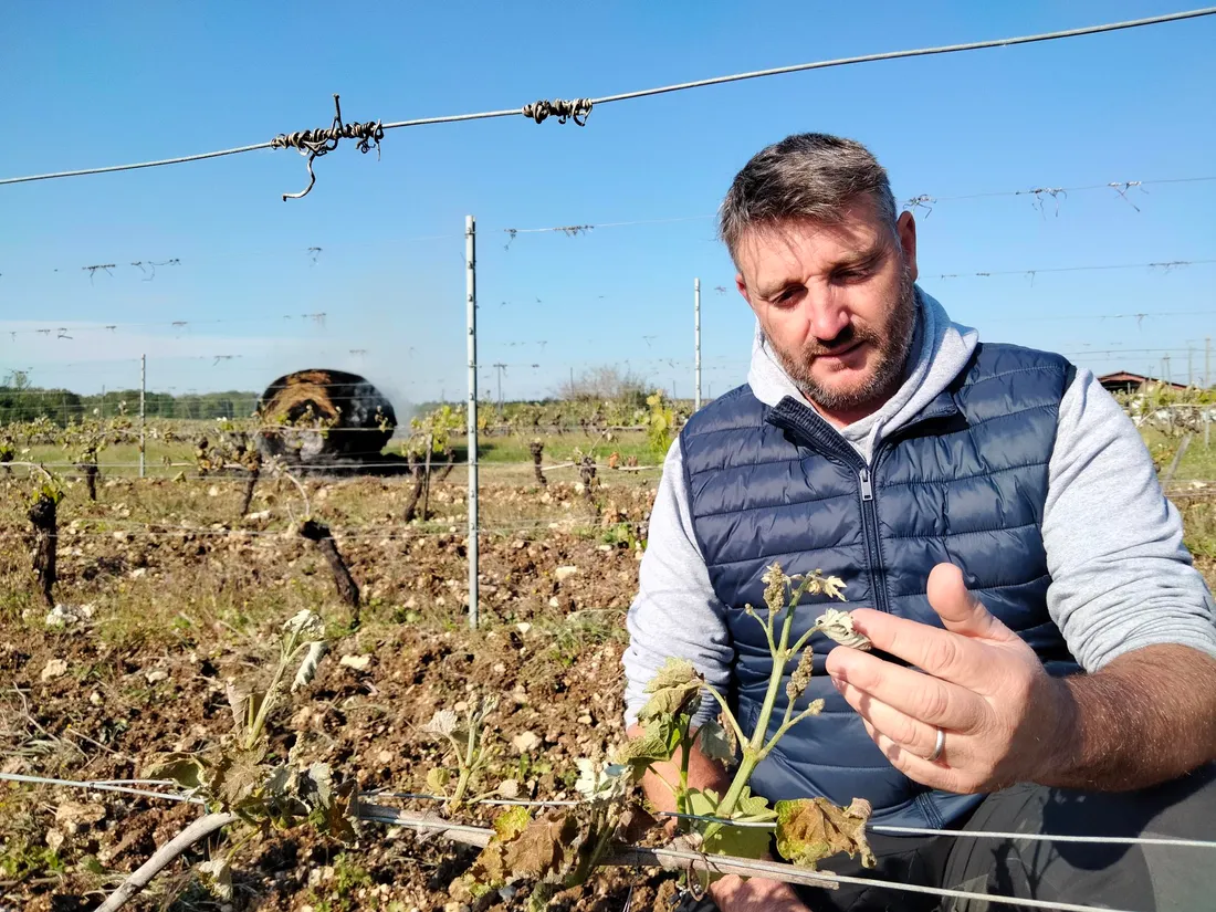 Nicolas Fournié président de l'AOC Cahors se dit catastrophé