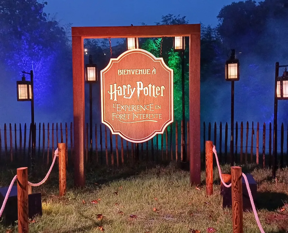 "Harry Potter : l'expérience en forêt interdite"