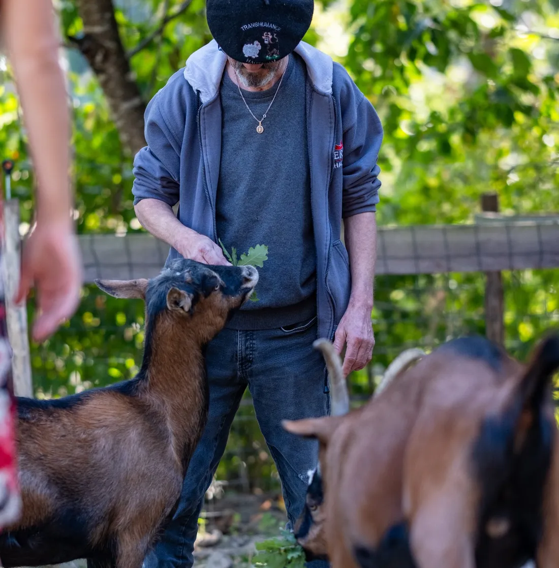 Le nourrissage des animaux fait également partie des ateliers