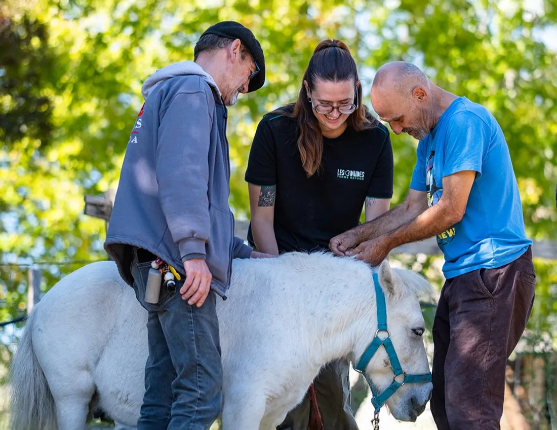 Session de calinothérapie au refuge des 3 Dindes