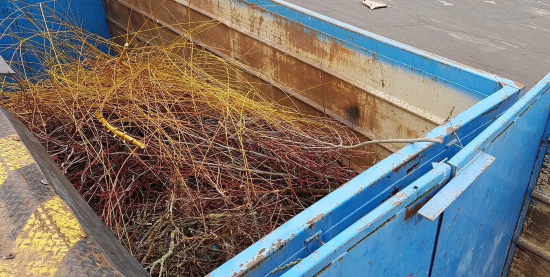 Des déchets verts dans une déchetterie de l'agglomération de Rodez (Aveyron).