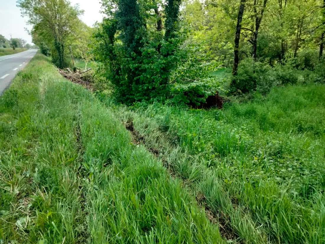 Les traces montrent que le minibus a quitté la route