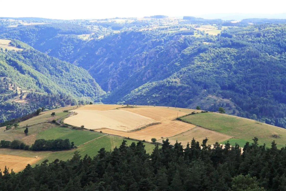 Gorges du Tarn en Haute Loire