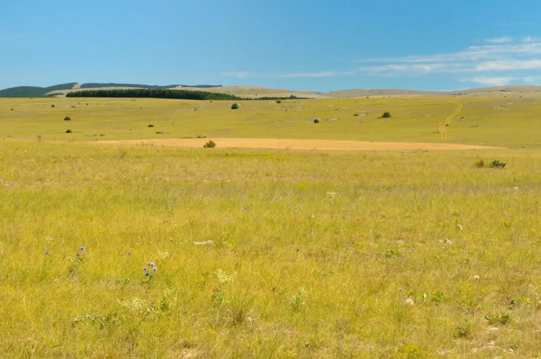 Causse du Méjean (Lozère)