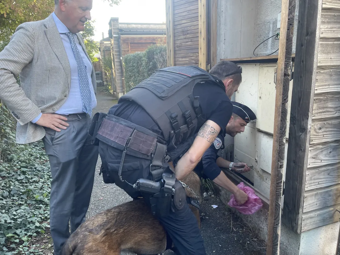 Point deal Brive Gaubre Chien renifleur
