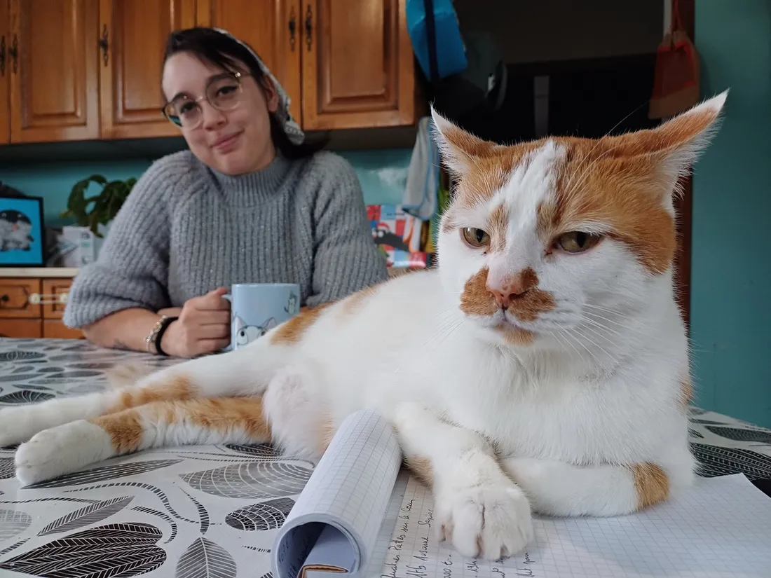 Maryna Taguet créatrice du futur "bar à minous" à Montauban et son chat "chouchou".