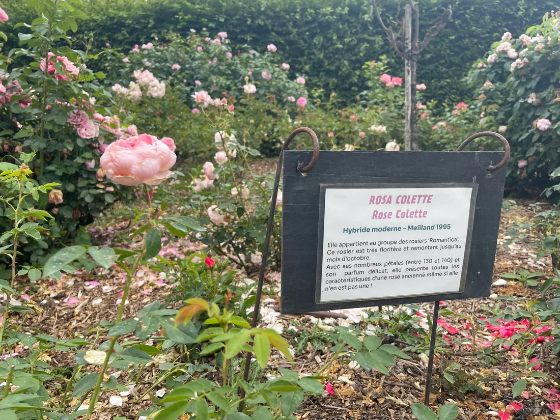 Jardins Colette