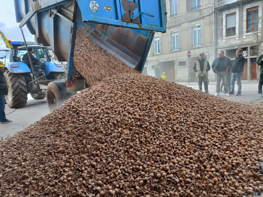Des "coquilles vides" ont été déversées au pied de la Cité Administrative, à Tulle.