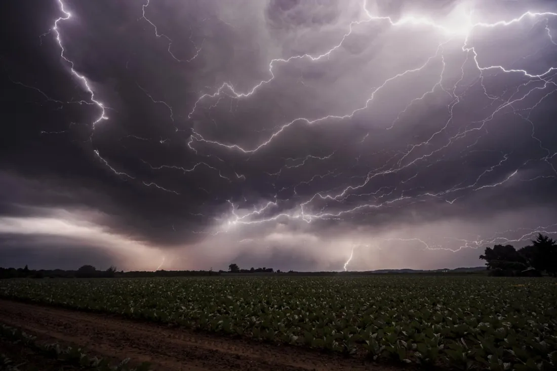 Des éclairs type spider 
