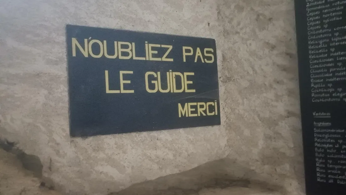 Gouffre de la Fage (guide)