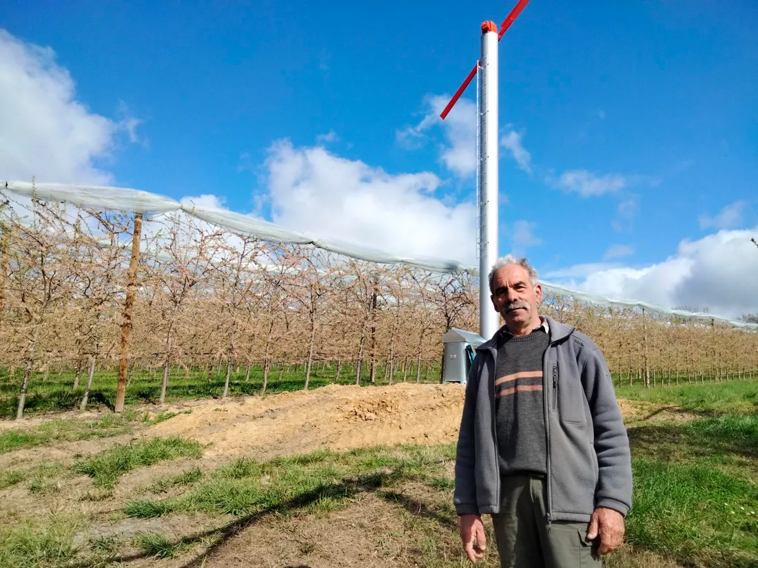 Maurice Andral, producteur de prunes et de pommes à Moissac