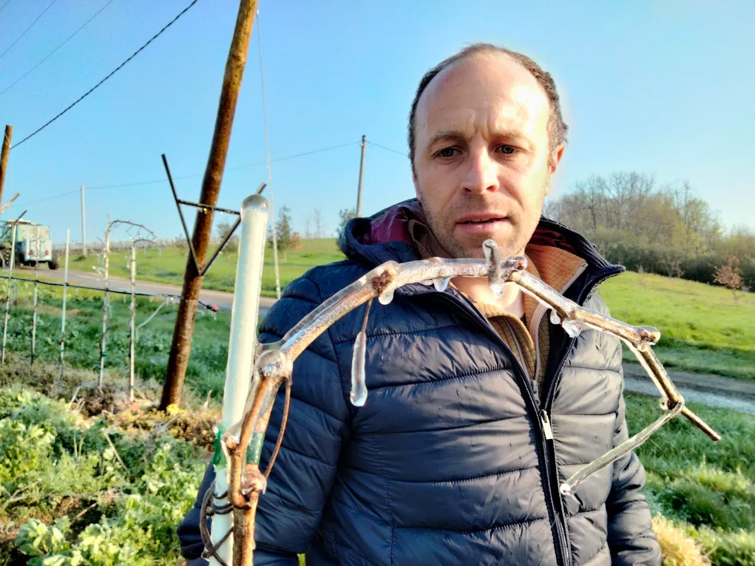 Jérôme Capel pruniculteur à Cazes-Mondenard