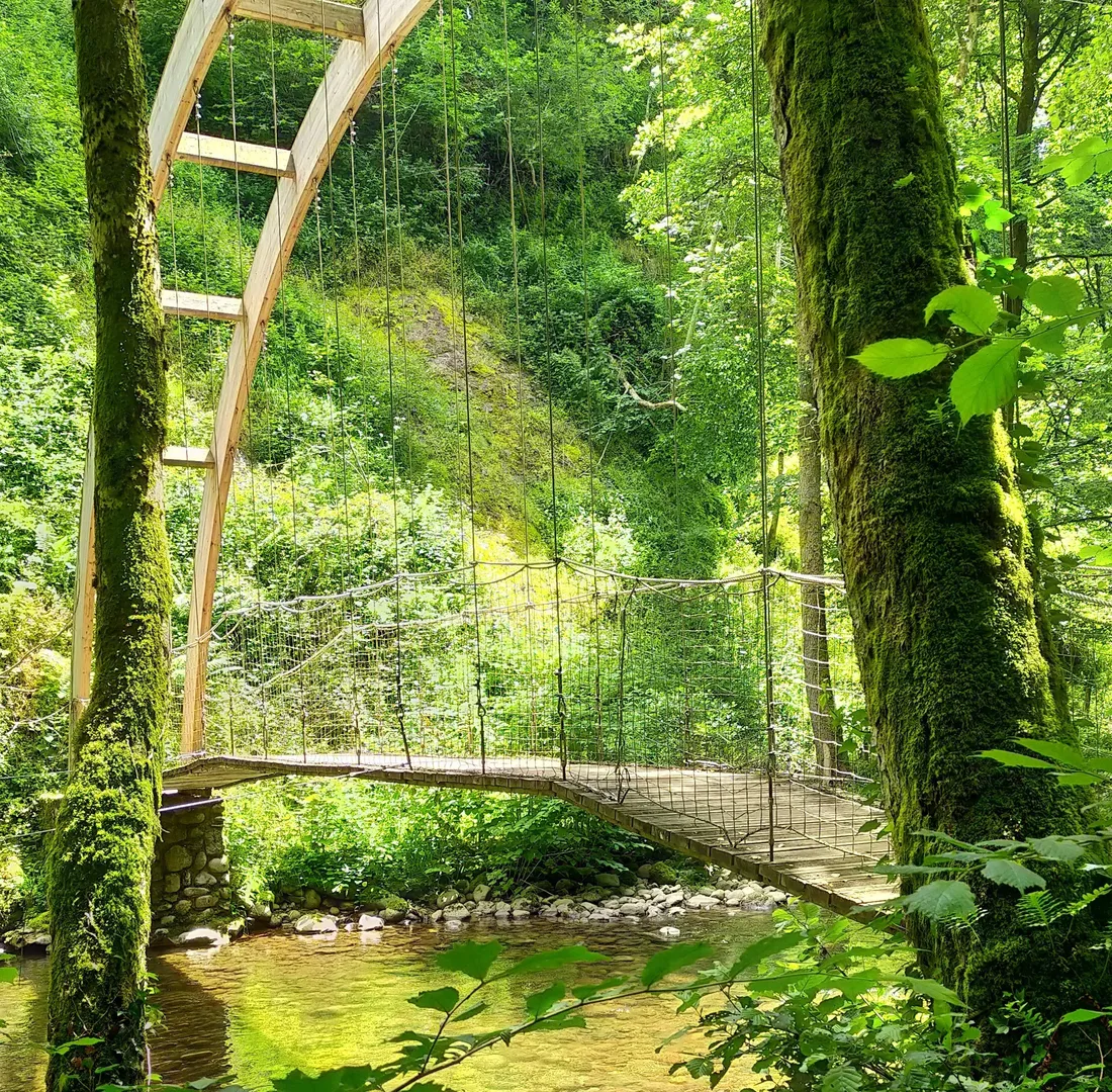GORGES DE LA JORDANNE