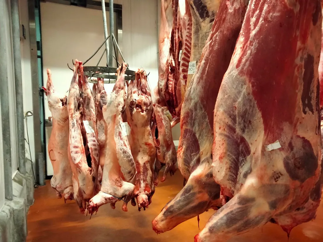 L'abattoir de Montauban - Photo d'illustration