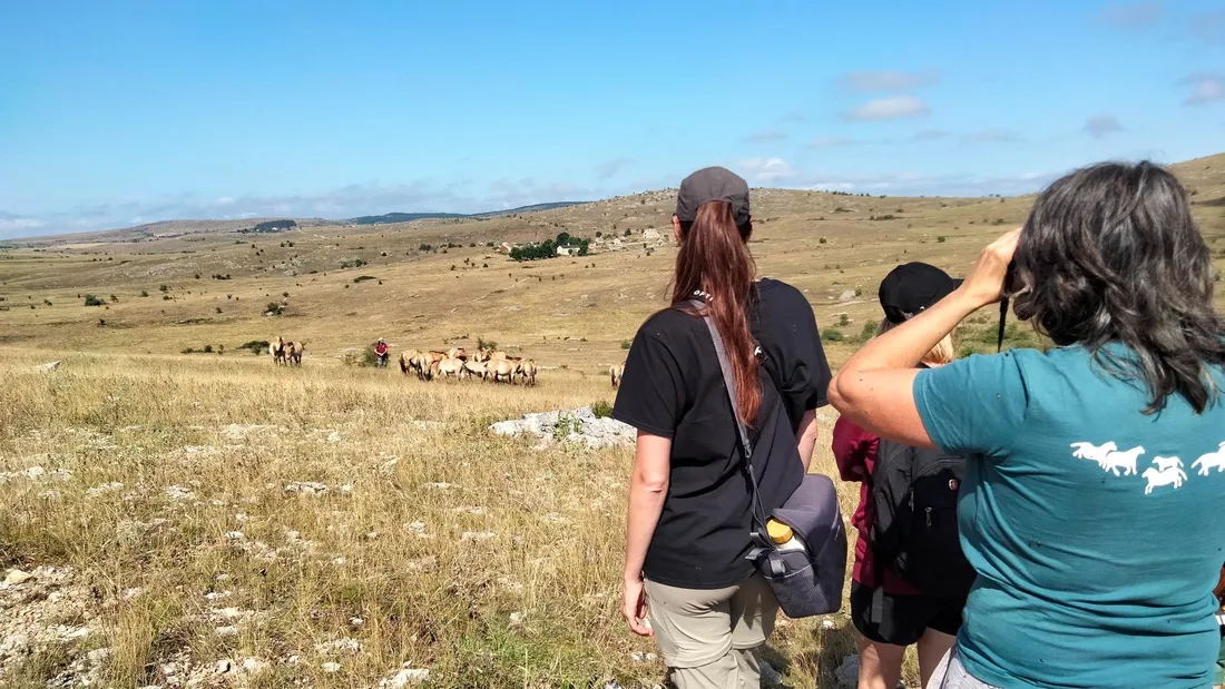 Un groupe d'observateurs en immersion avec l'association Takh. 