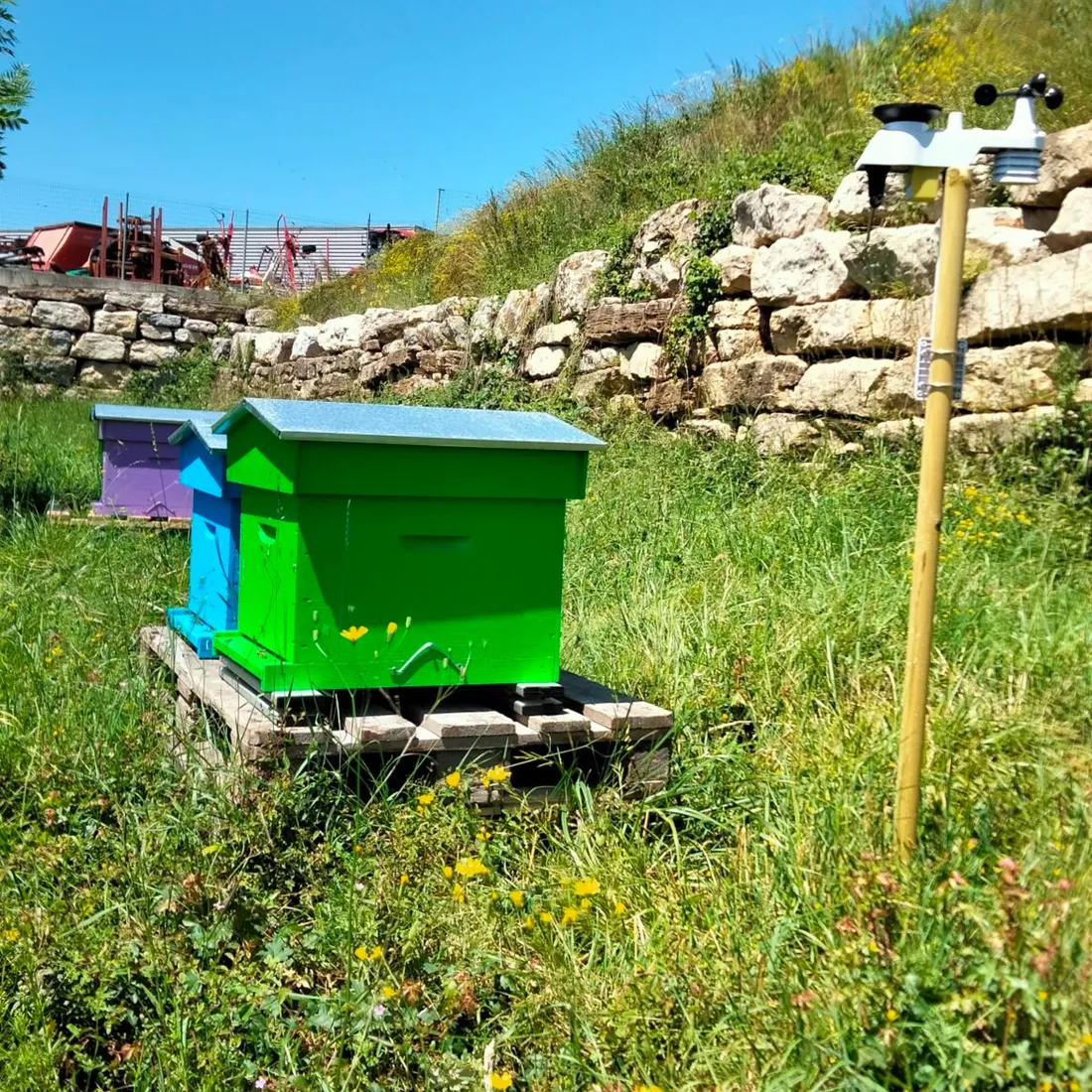 La ruche connectée est notamment équipée d'une station météo et d'une balance
