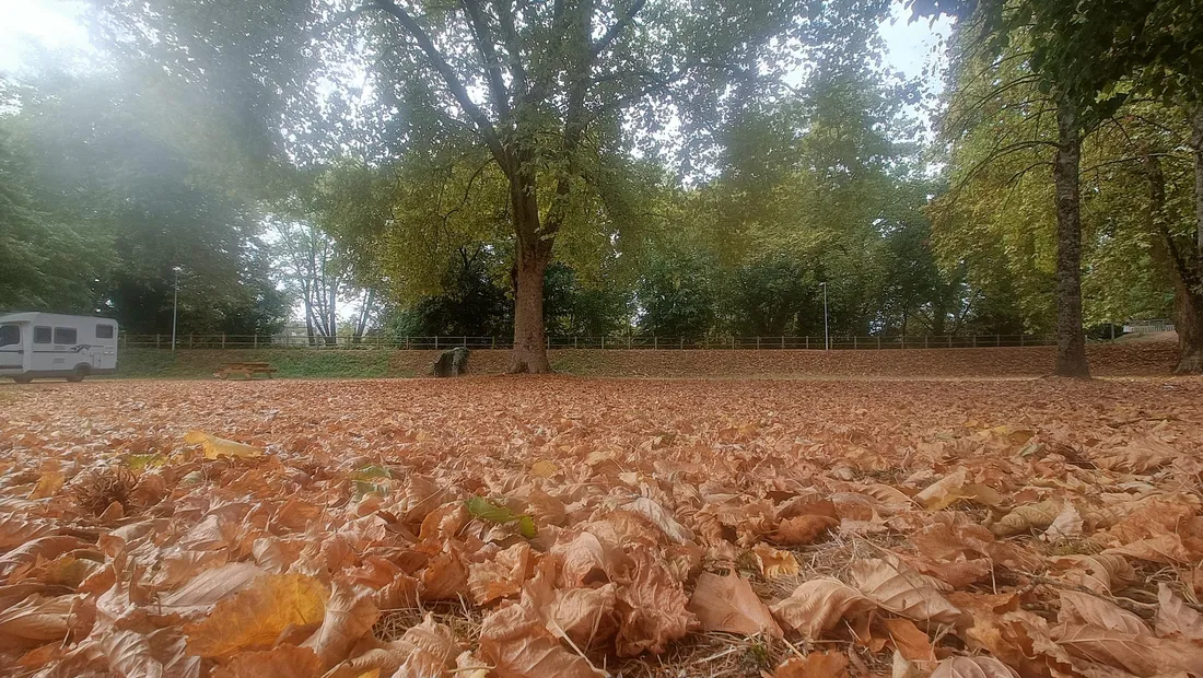 Les feuilles mortes se ramassent à la pelle en Corrèze.