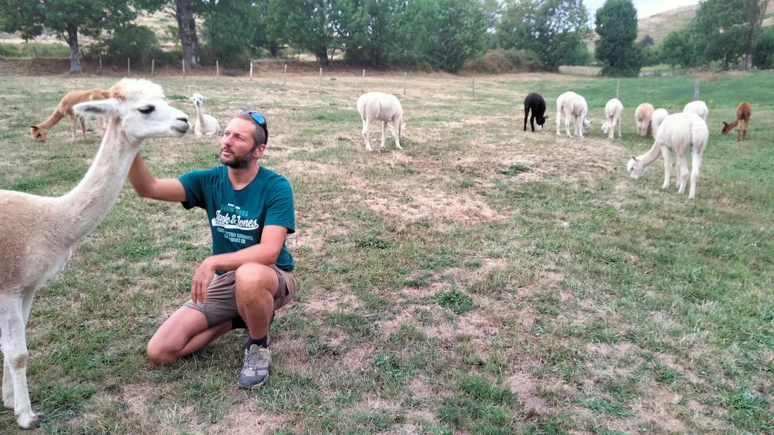 Régis Molines a eu le coup de foudre pour ces animaux au tempérament calme et élégant