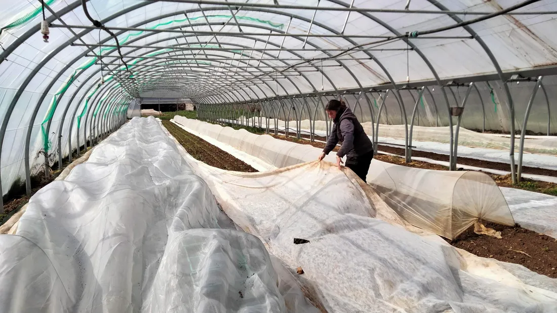 Nancy Dumortier au Jardin des Frères de Bourgs-sur-Colagne