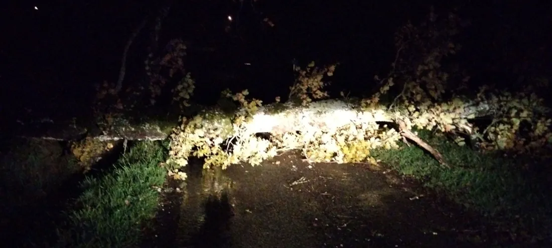 Un arbre tombé sur la route sur la commune de Jussac