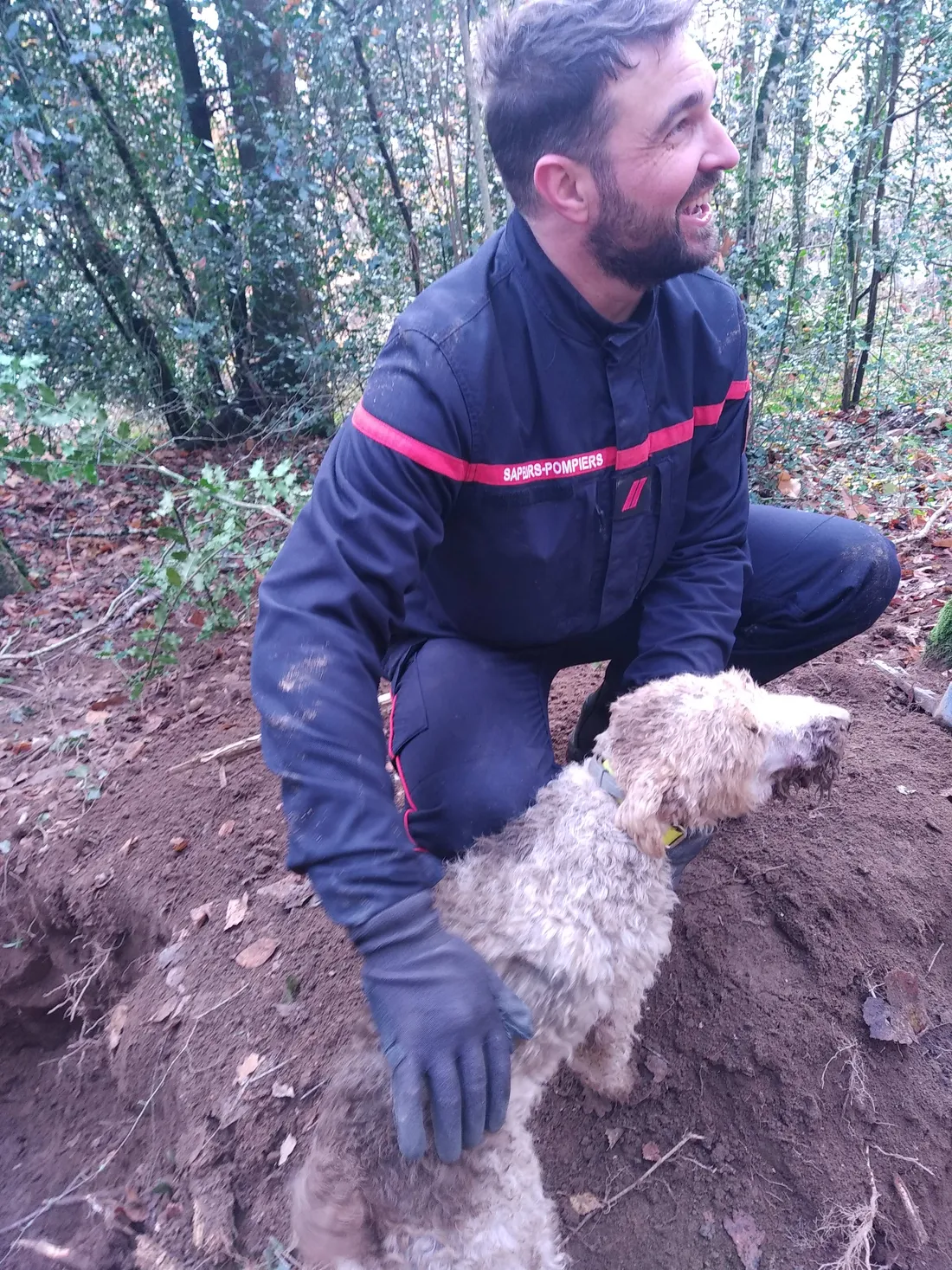 Un des deux chiens secouru par les pompiers du Lot.