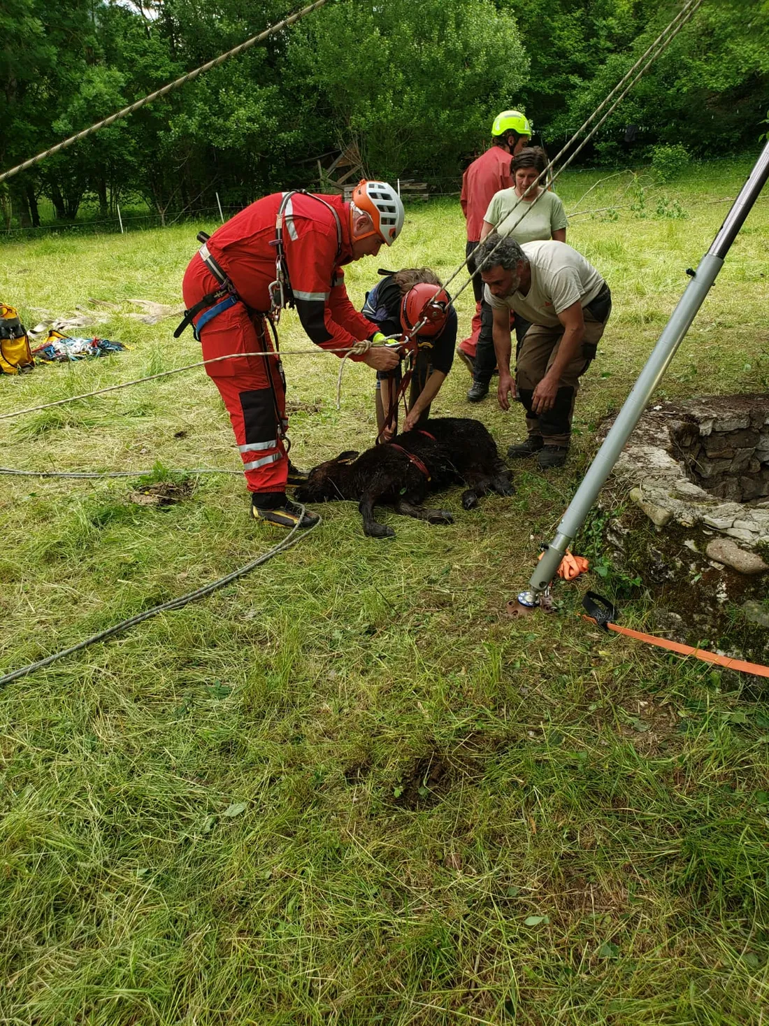 L'animal a pu être remonté en bonne santé