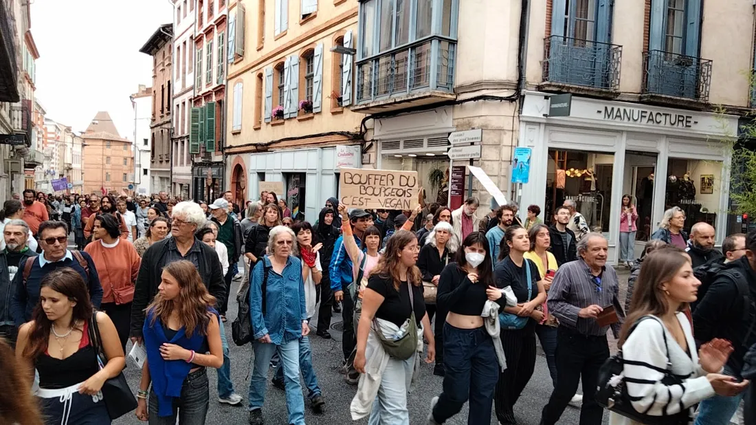 Près de 400 manifestants ont défilé dans le centre-ville de Montauban.