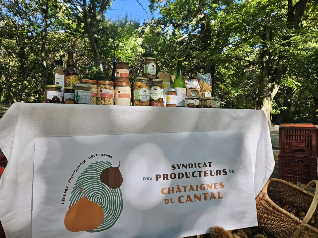 syndicat producteur chataignes