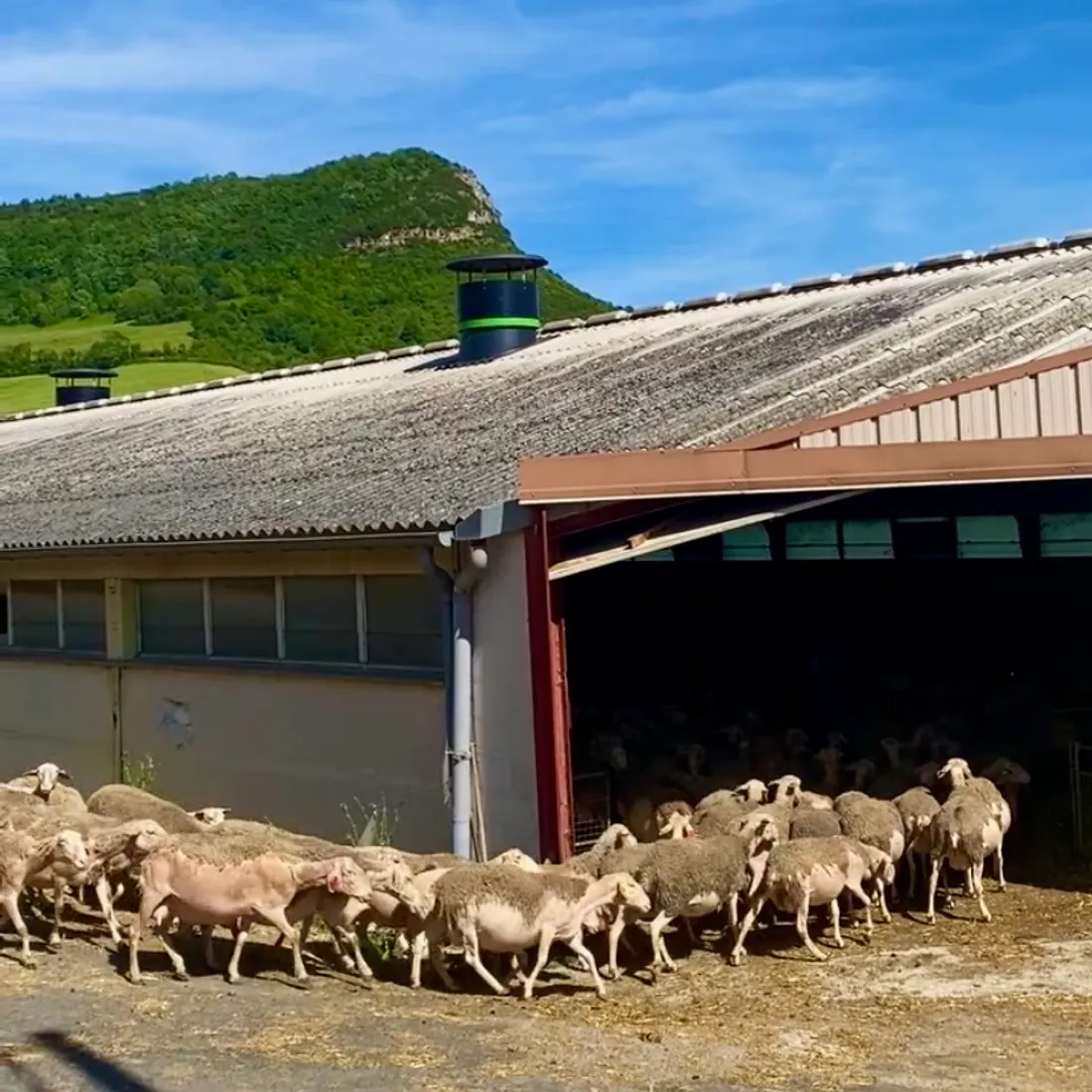 La visite de la ferme de Thierry Agrinier à Roquefort. 