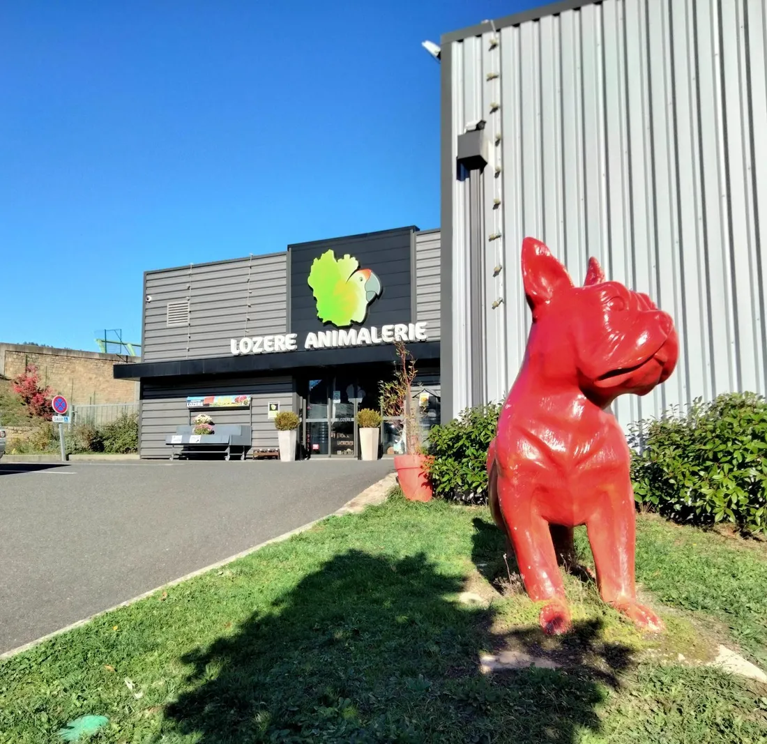 Lozère animalerie s'est installée il y a une dizaine d'années sur l'avenue du 11 novembre à Mende