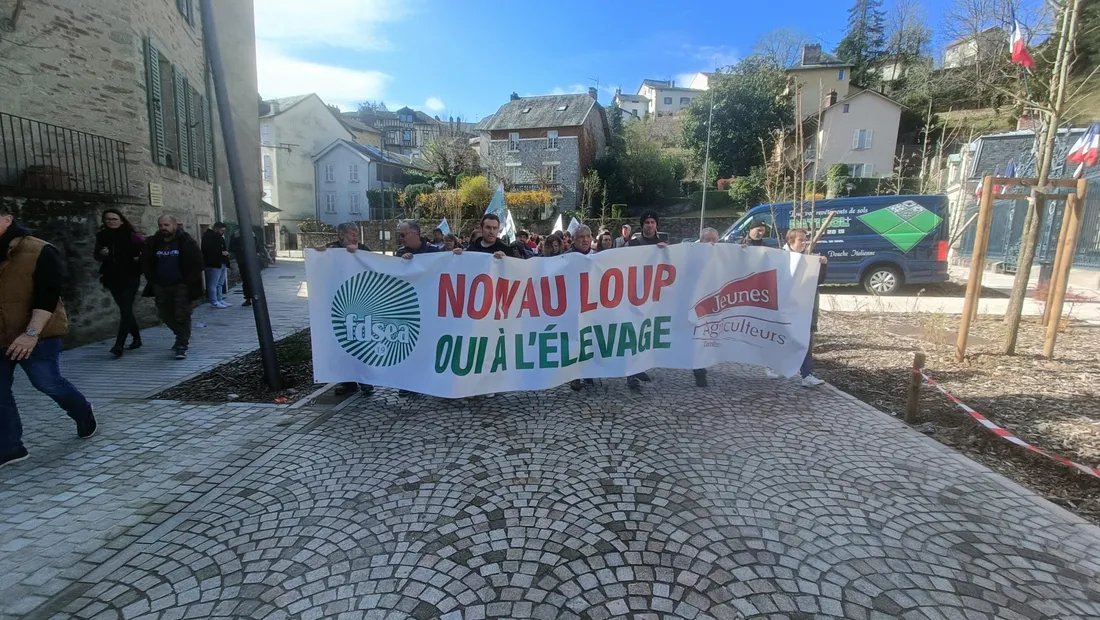 Manif loup Tulle fdsea/ja