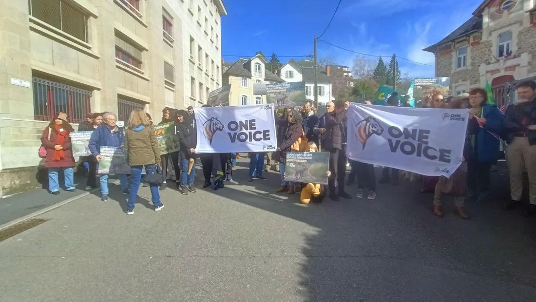 Manif loup Tulle One voice