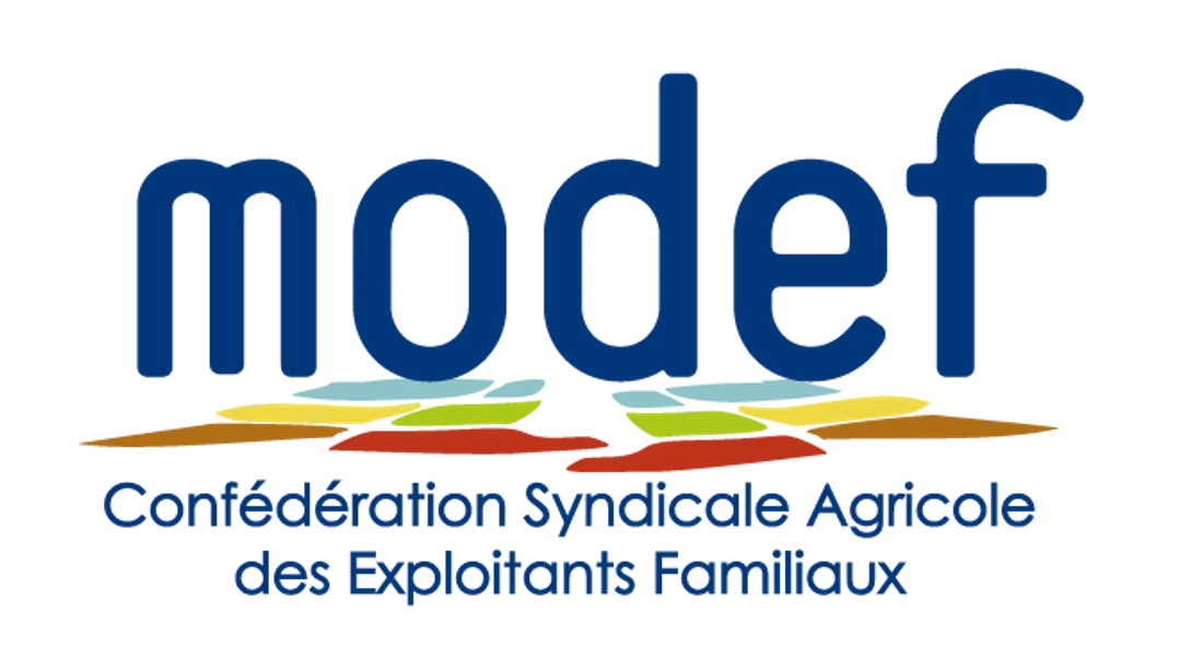 Logo modef