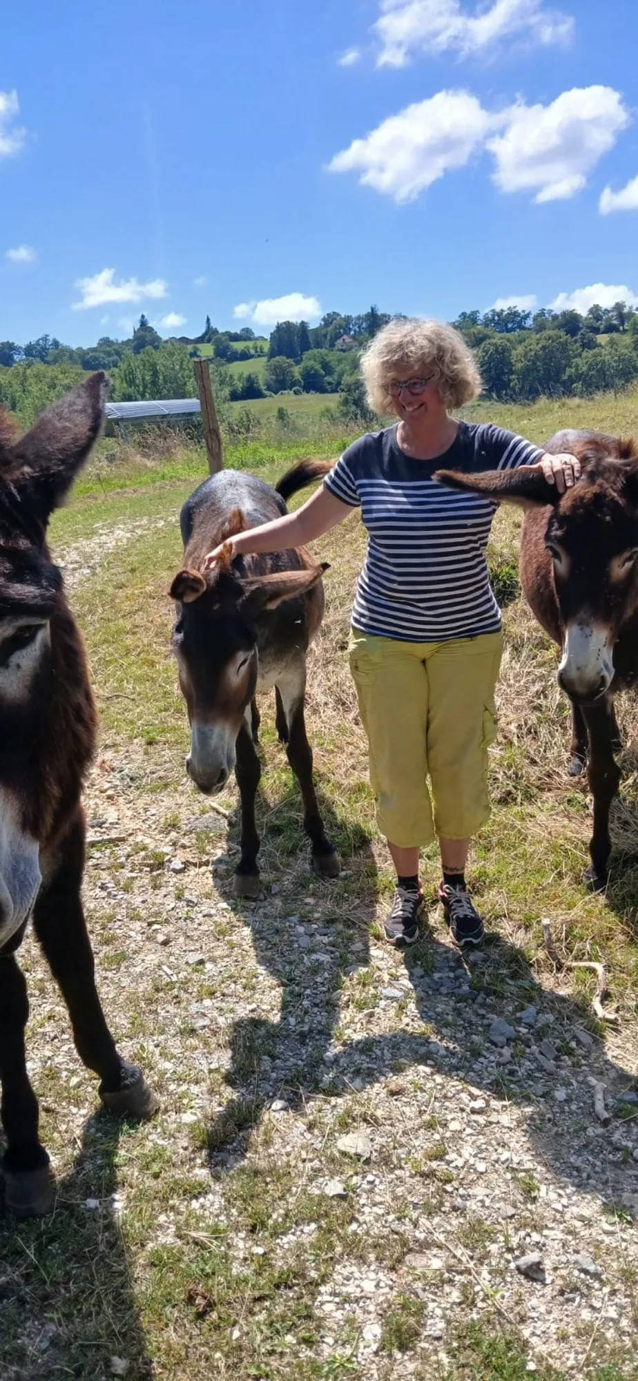 mediation animale avec un âne