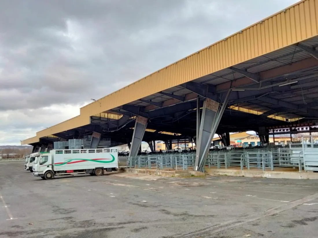 Le marché aux bestiaux de Laissac (Aveyron)