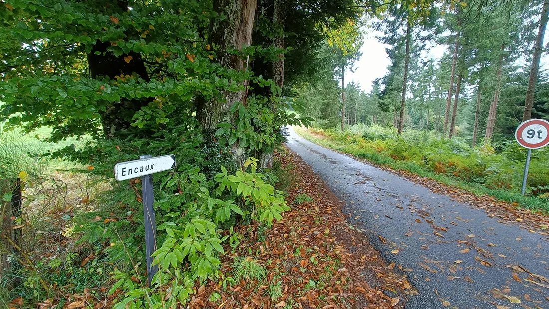 Meymac : le lieu-dit où les soldats allemands seraient enterrés